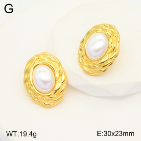 2E3002684vbnb-649  Stainless Steel Earrings