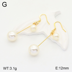 2E3002689baka-698  Stainless Steel Earrings