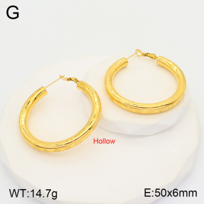 TE2000359bhia-649  SS Earrings