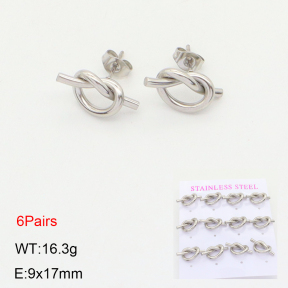 2E2004628vhov-436  Stainless Steel Earrings