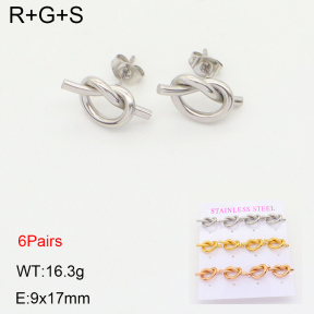 2E2004629vihb-436  Stainless Steel Earrings