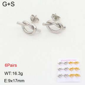 2E2004630vhpl-436  Stainless Steel Earrings