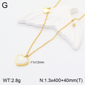 2N3001942vbnb-749  Stainless Steel Necklace