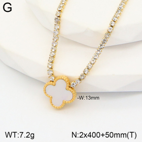 2N4003170vhha-436  Stainless Steel Necklace