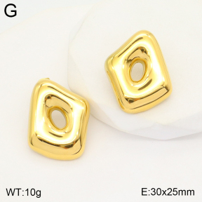 2E2004636vbpb-493  Stainless Steel Earrings