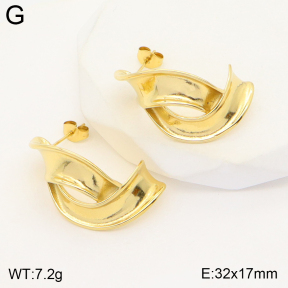 2E2004638vbpb-493  Stainless Steel Earrings