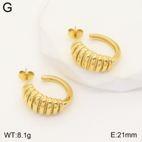 2E2004639bbov-493  Stainless Steel Earrings