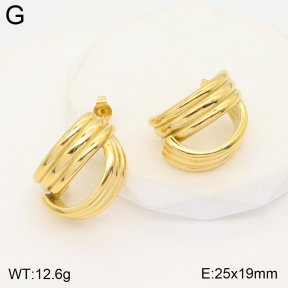 2E2004641vbpb-493  Stainless Steel Earrings