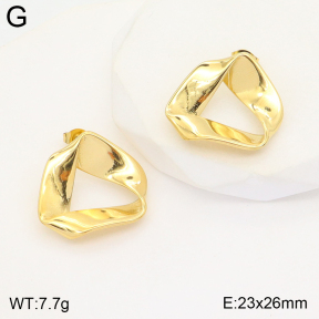 2E2004642vbpb-493  Stainless Steel Earrings