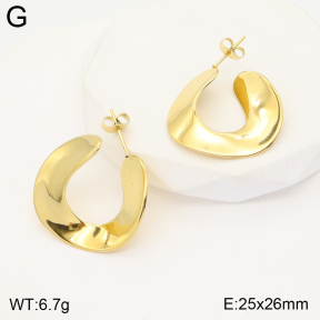 2E2004644vbnb-493  Stainless Steel Earrings