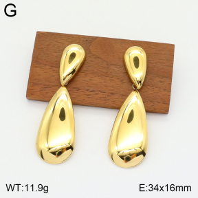 2E2004668vbpb-493  Stainless Steel Earrings