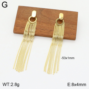 2E2004672bhva-493  Stainless Steel Earrings