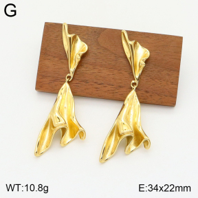 2E2004676bhva-493  Stainless Steel Earrings