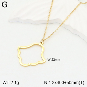 2N2004477vbmb-493  Stainless Steel Necklace