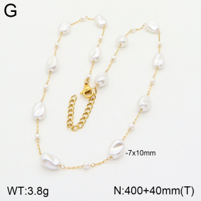 2N3001949abol-641  Stainless Steel Necklace