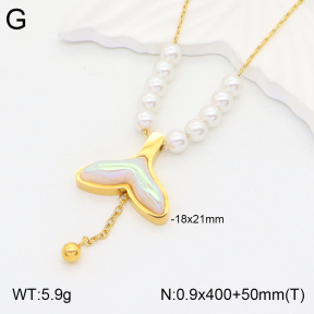 2N3001956abol-350  Stainless Steel Necklace