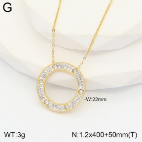 2N4003180vbpb-493  Stainless Steel Necklace