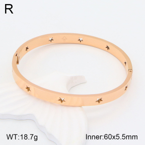 2BA201426vbnl-434  Stainless Steel Bangle