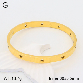 2BA201427vbnl-434  Stainless Steel Bangle