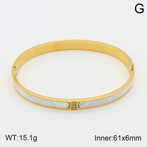 2BA300364bbov-354  Stainless Steel Bangle