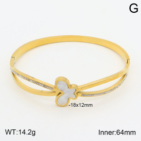 2BA300365bbov-354  Stainless Steel Bangle