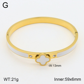 2BA300370bbov-377  Stainless Steel Bangle