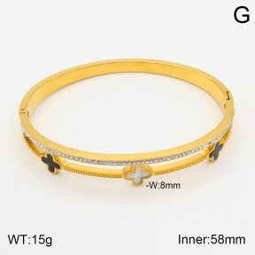 2BA401660bbov-354  Stainless Steel Bangle