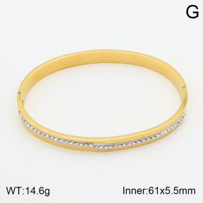 2BA401669vbmb-354  Stainless Steel Bangle