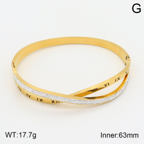 2BA401682bbov-354  Stainless Steel Bangle