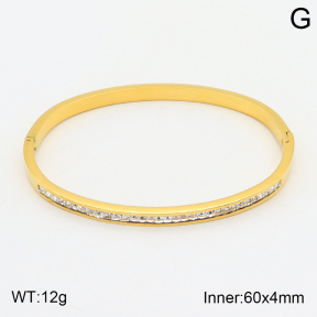 2BA401686vbnb-354  Stainless Steel Bangle