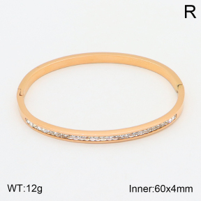 2BA401687vbnb-354  Stainless Steel Bangle