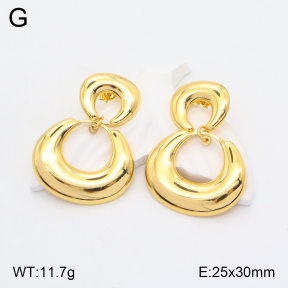 2E2004685bbml-434  Stainless Steel Earrings