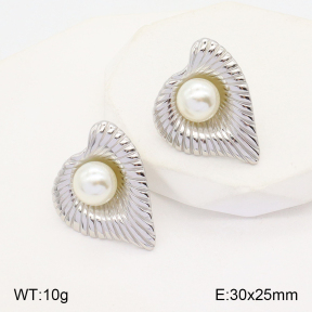 2E3002697bbml-434  Stainless Steel Earrings