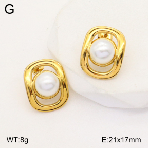 2E3002700vbnb-434  Stainless Steel Earrings