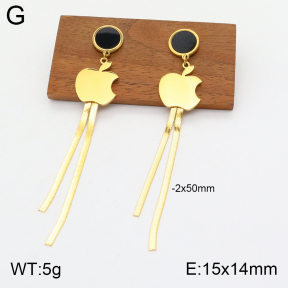 2E4003754bbml-363  Stainless Steel Earrings