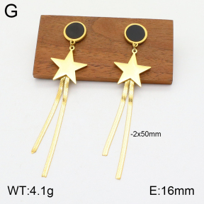 2E4003755bbml-363  Stainless Steel Earrings