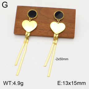 2E4003757bbml-363  Stainless Steel Earrings