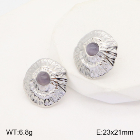 2E4003759ablb-434  Stainless Steel Earrings