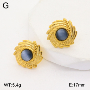 2E4003760vbll-434  Stainless Steel Earrings