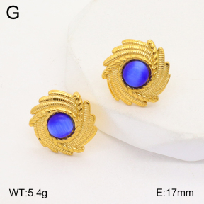 2E4003762vbll-434  Stainless Steel Earrings