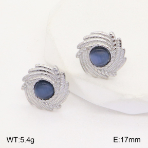 2E4003764ablb-434  Stainless Steel Earrings