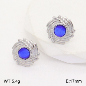 2E4003765ablb-434  Stainless Steel Earrings