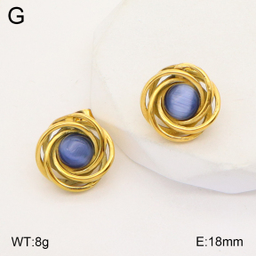 2E4003766vbmb-434  Stainless Steel Earrings