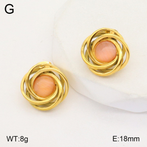 2E4003769vbmb-434  Stainless Steel Earrings