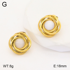 2E4003770vbmb-434  Stainless Steel Earrings