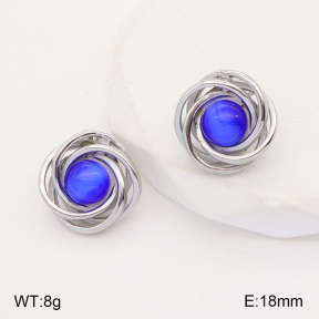 2E4003771vbll-434  Stainless Steel Earrings