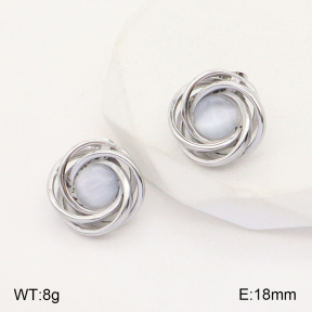 2E4003772vbll-434  Stainless Steel Earrings