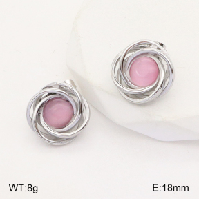 2E4003773vbll-434  Stainless Steel Earrings