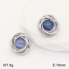 2E4003774vbll-434  Stainless Steel Earrings