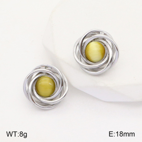 2E4003775vbll-434  Stainless Steel Earrings